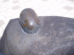すねこすり.JPG